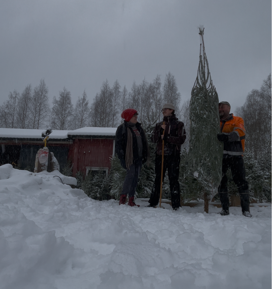 Näin tilaat joulukuusen netistä