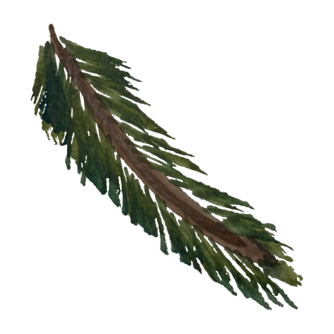 Mitä joulukuuselle tapahtuu joulun jälkeen