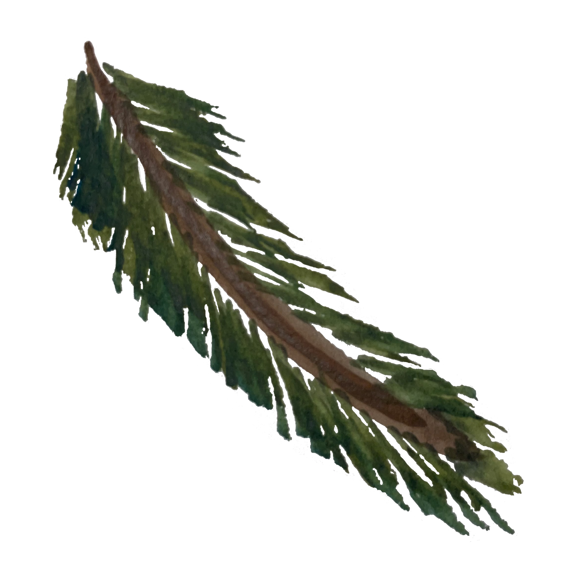 Mitä joulukuuselle tapahtuu joulun jälkeen